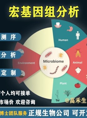 宏基因组数据分析/宏基因组装/物种功能注释/个性化定制/课程辅导