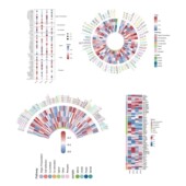CLIP 筛选服务 差异结合位点 seq互作 峰值分析