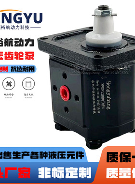 Hengyuhang齿轮泵2PDF12DB0T0E4布赫泵BUCHER液压泵AP200油泵高压