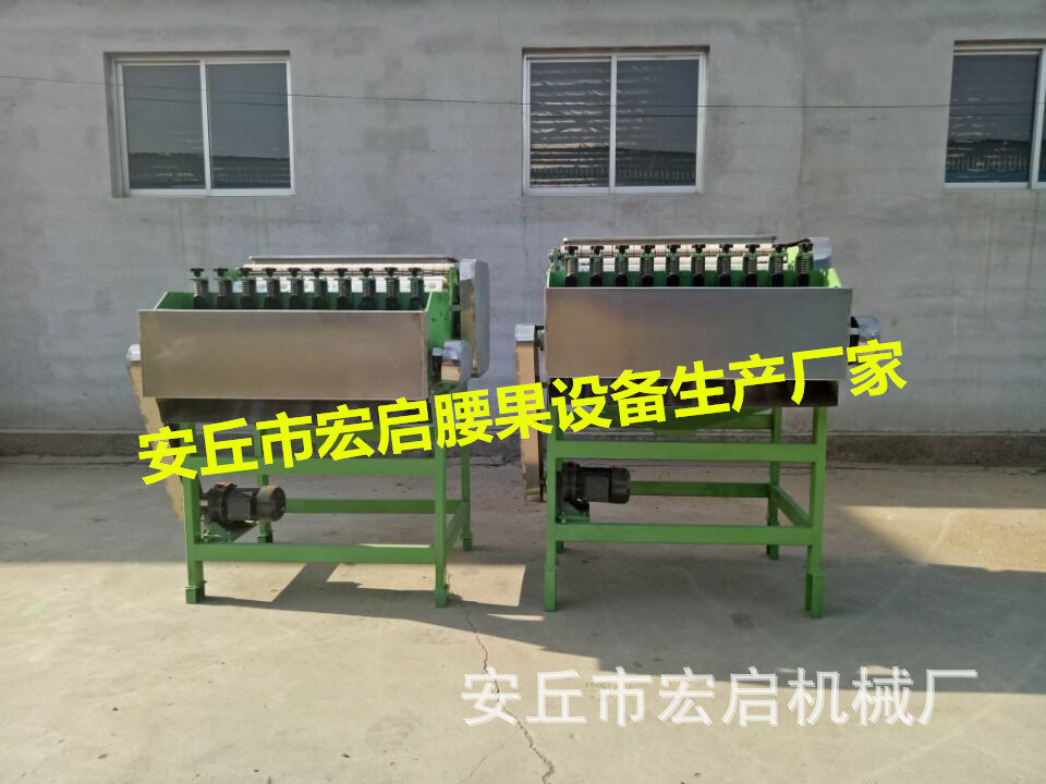 腰果自动脱壳脱皮机剥壳去皮生产线去红衣机分级蒸煮机厂家