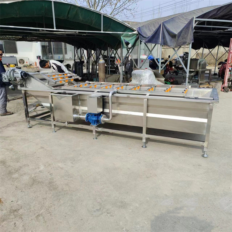 黄桃罐头果汁前端水果清洗机裕邦大型商用果蔬提升清洗风干设备