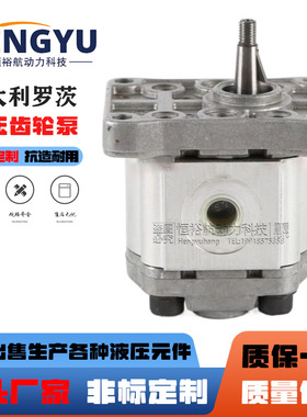 罗茨液压泵RONZIO齿轮泵01ZAG11C442D 01ZCG42N600DN 01ZBG11C130