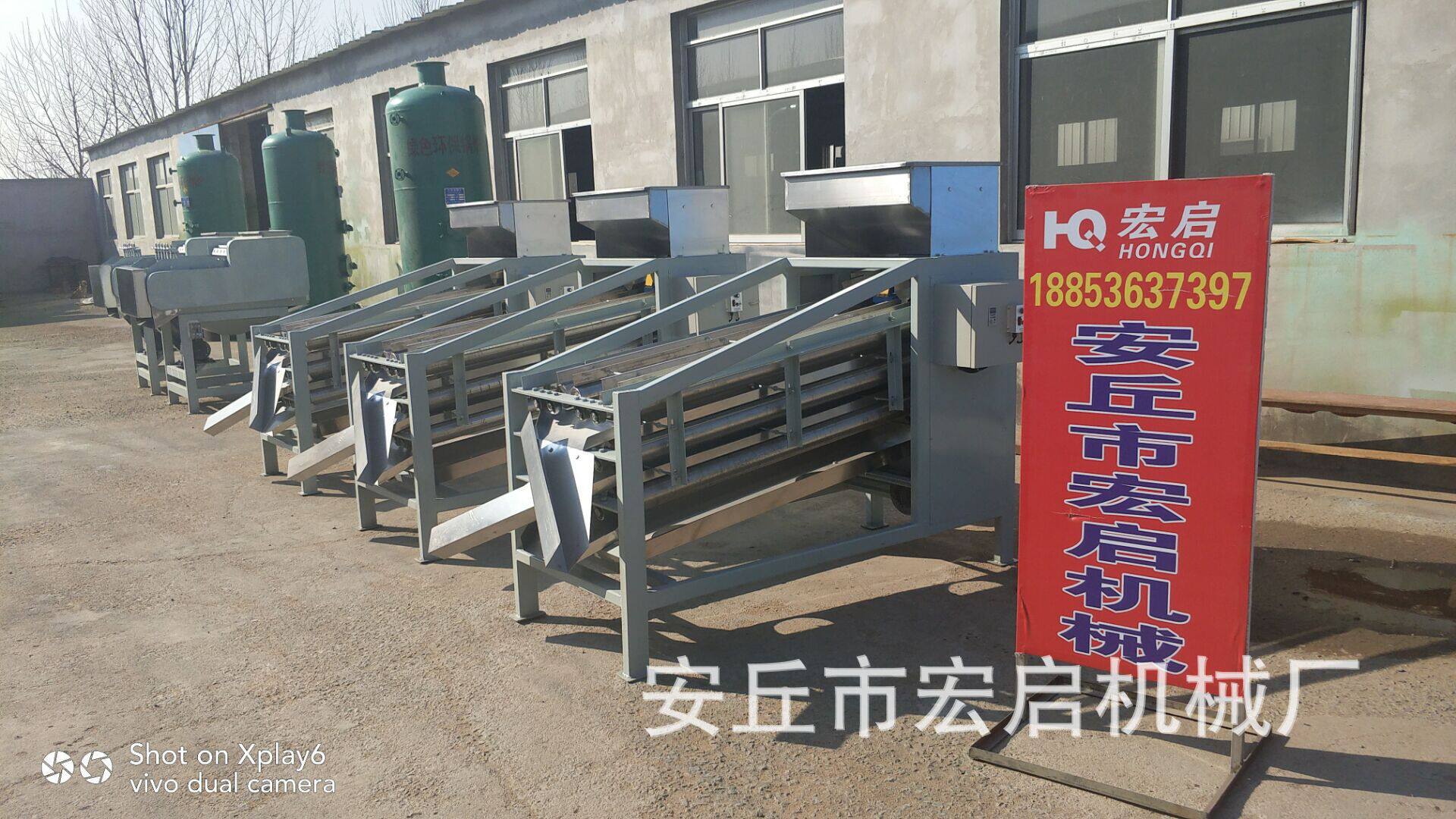 厂家直销腰果果仁分级机分选机腰果仁分级分选机