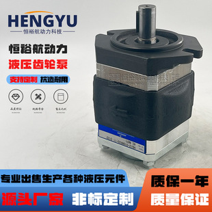 贺尔碧格液压泵HOERBIGER内啮合齿轮泵HQI2 11压力油泵 016RK03