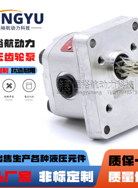 ARGO HYTOS齿轮泵 P2-0.8R.14300 GP2-T10RK510A P23-7.9R液压泵