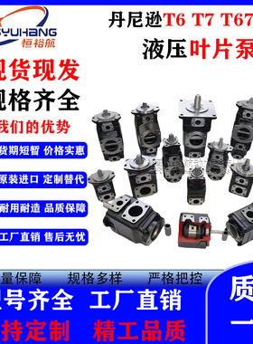DENISON丹尼逊高压液压泵 T6DCCR T6EDCR系列 带尾驱动三联叶片泵