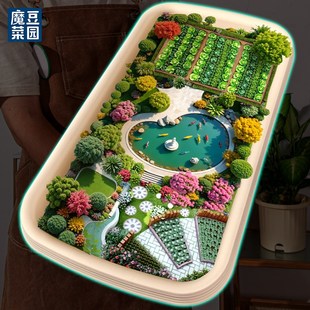 种菜专用盆自吸水家用阳台种菜盆加大加厚蔬菜长方形塑料种植花盆