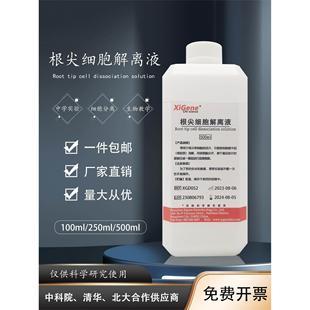 根尖细胞解离液 细胞分离 根尖分生组织细胞有丝分裂实验高中生物