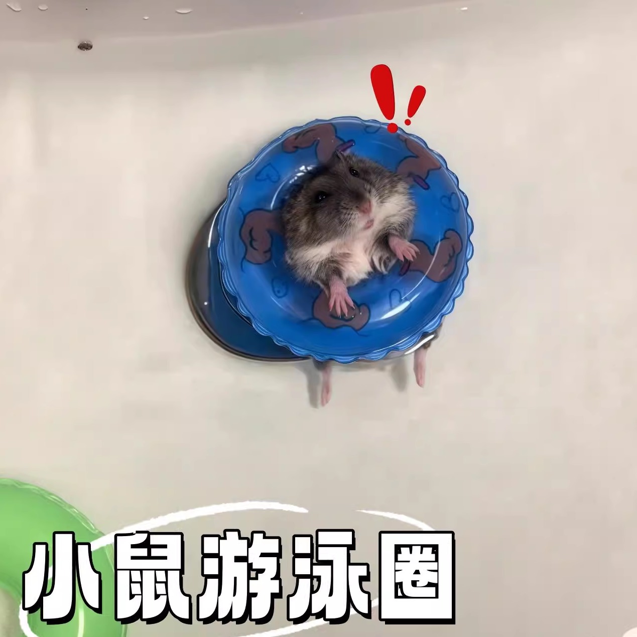 仓鼠解闷玩具通心粉鼠花枝鼠金丝熊乌龟小鼠洗澡玩具宠物用品大全