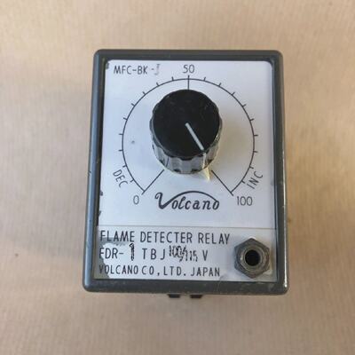 Vulkan FDR1TBJ Flammenmelder Relais MFCBKJ FDR1TBJ 100115V