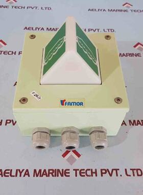 Famor fy153101
