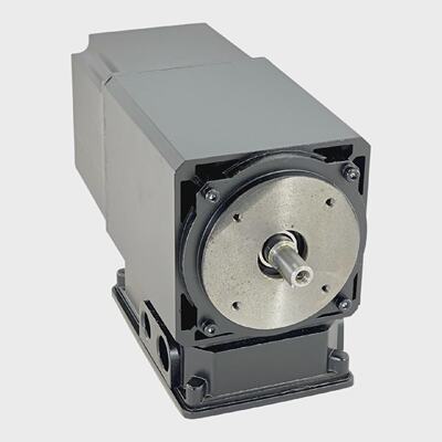 KONCAR MOTOR AZKA 56L8T SINGLE PHASE ASYNCHRONOUS MOTOR