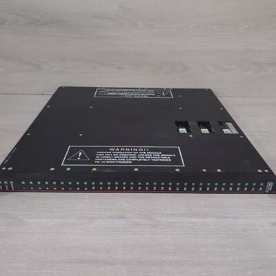 Triconex 3503E Digital Input Module  New Without Original Bo