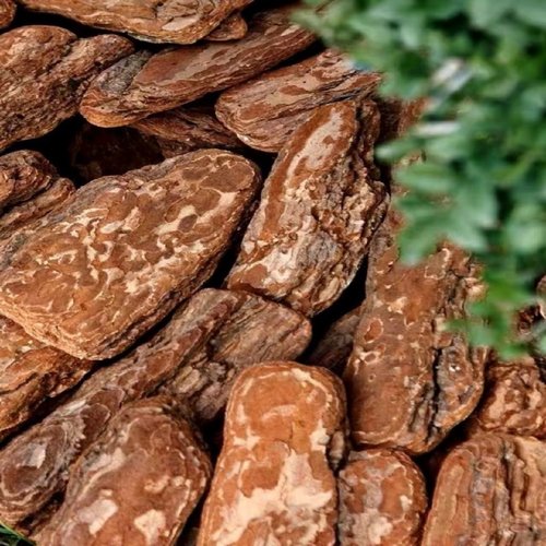 火山岩颗粒火山石红色无机覆盖物树穴铺面花境花园土壤红色覆盖物