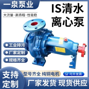 循环水泵 is清水离心泵工业锅炉给水循环增压泵农田灌溉喷淋立式