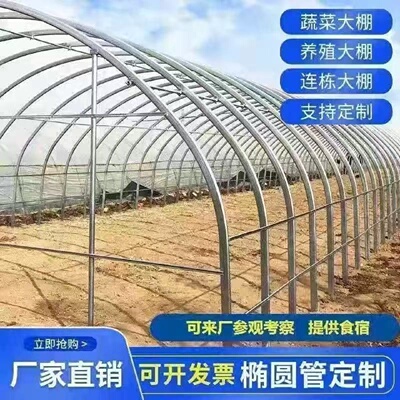 大棚骨架全套椭圆管种植大棚养鸡鸭鹅猪牛羊蔬菜温棚弧形半坡暖棚