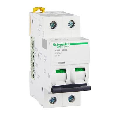 议价施耐德电气小型断路器 iC65L 2P C6A A9F38206