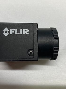加拿大FLIR相机BFLYPGE31S4MC201--议价商品