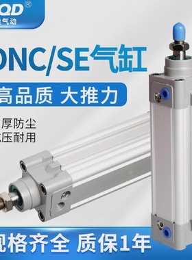 SE标准DNC气缸32DSBC2?DNCB40-50-63-80-100-125-150-200-PPV-A