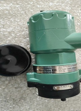询价~AUTRONICA 防爆火焰探测器，型号:X33AFA7D1