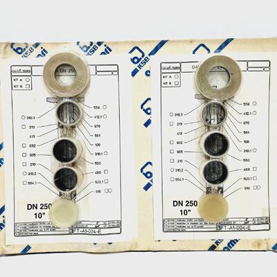 FTA1004E AMRI KSB DN250 10 REPAIR KIT  AS PHOTO  LOT OF 2