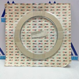 IDT 6970219592 Guarnizione A Spirale WS 1.4404 Grafite