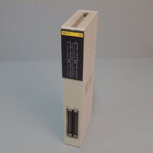 C5000D213 OMRON C5000D213 3G2A50D213 Module dentre 24V DC
