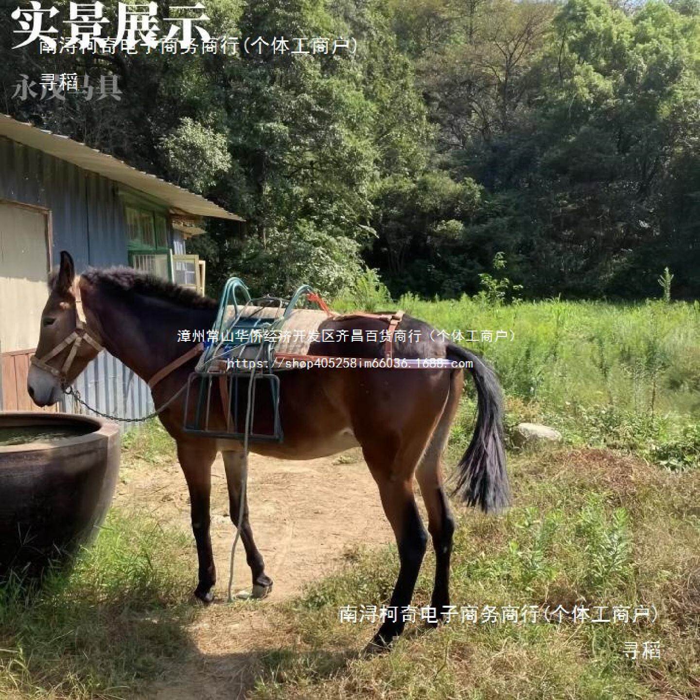 永茂马具马尾带马尾根马尾丘马前丘马胸带马肚带全套马术装备用品