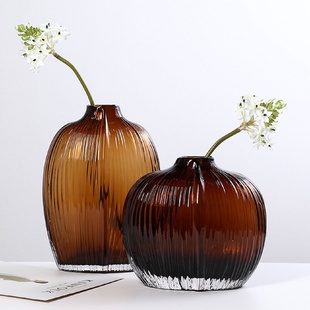 饰摆件 北欧简约玻璃透明花瓶家居鲜花水培容器插花花器餐桌装