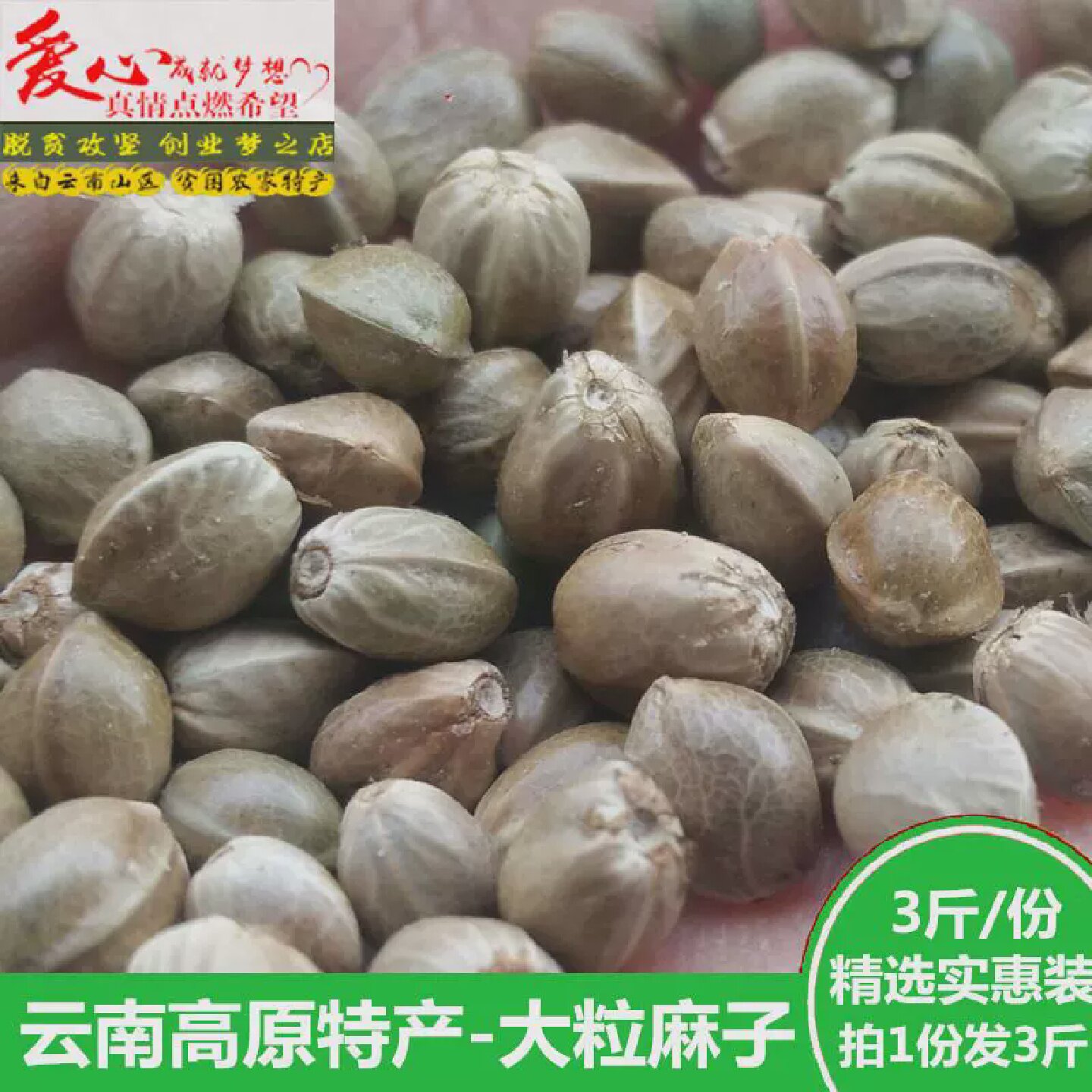 新货麻子大粒生新鲜火麻子麻籽人食用原味非五香云南特产零食包邮