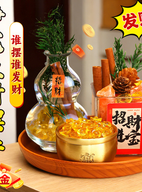 家居入户装饰招财玄关摆件聚财净宅入户门套装客厅乔迁新居办公室