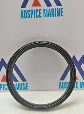 Cameron 709631 Ring Dichtung 6.75 Idx 8.25OD X.750