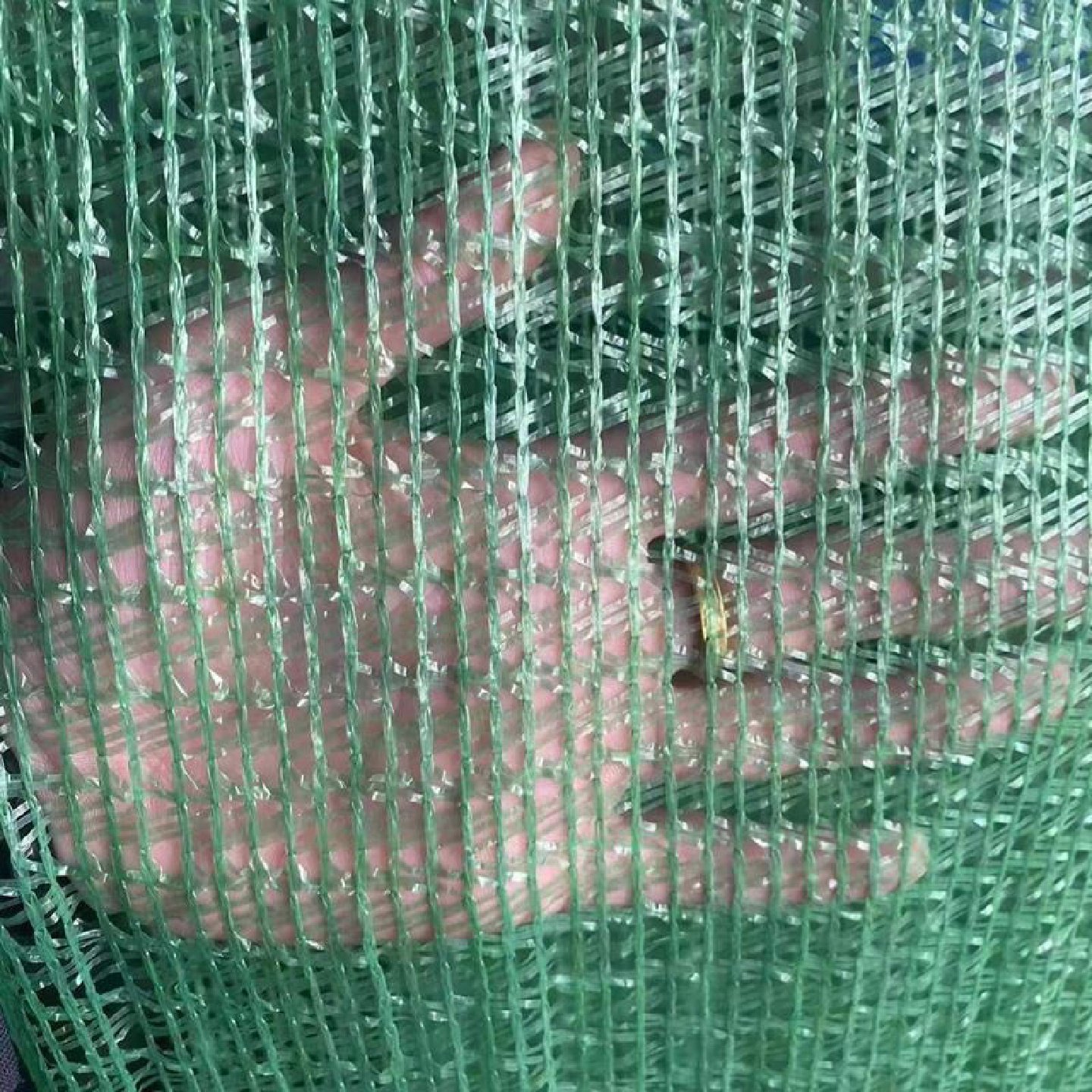 建筑工地安全网阻燃密目网外架防护防坠网电梯口防护网绿色防尘网,五金/工具,安全网,淘宝优惠券,粉丝福利购,淘宝优惠卷