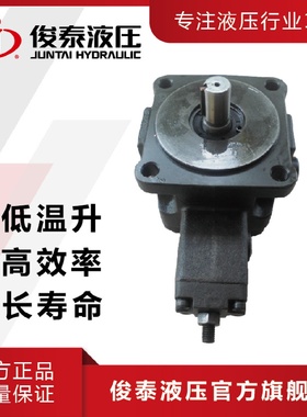 广东俊泰VP-SF-40低压变量叶片泵油压电动机用电动液压泵浦