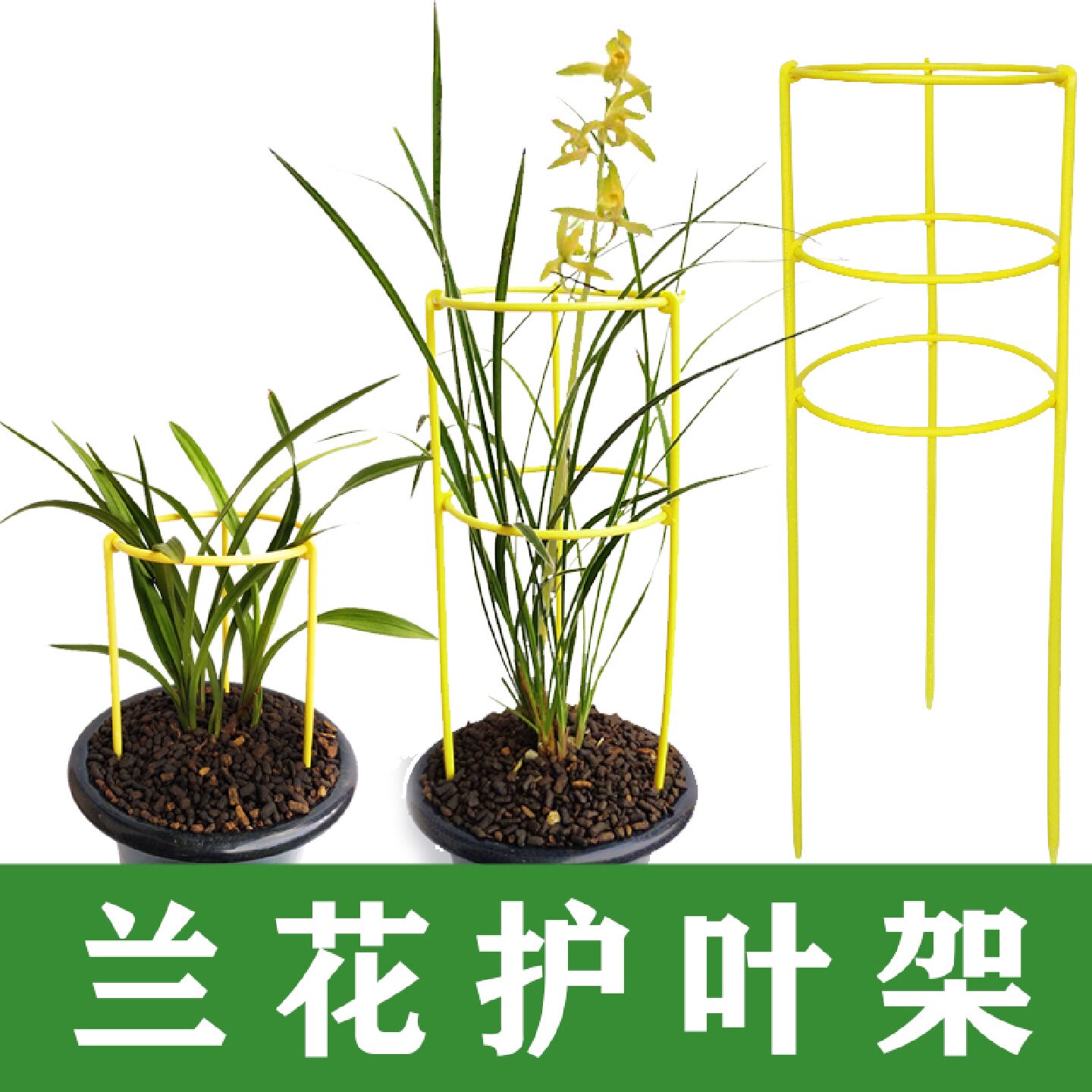 兰花护叶支架兰花盆专用护叶架扶叶子支架支撑杆支撑架兰叶固定圈