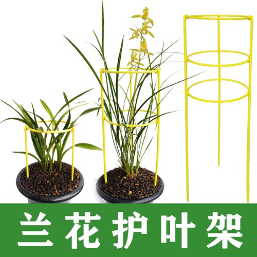 兰花护叶支架兰花盆专用护叶架扶叶子支架支撑杆支撑架兰叶固定圈