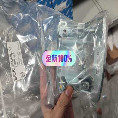 BEF-WN-DX502048370西克安装支架SICK安适用