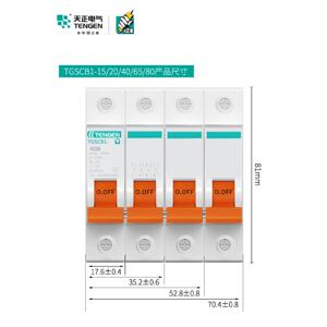 天正TGSCB1电涌浪涌后备保护器SPD防避雷器4P前端分断开关一二级