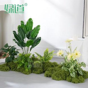 饰苔藓草丛室内软装 仿真绿植造景仿生花假植物景观装 轻奢摆设高端