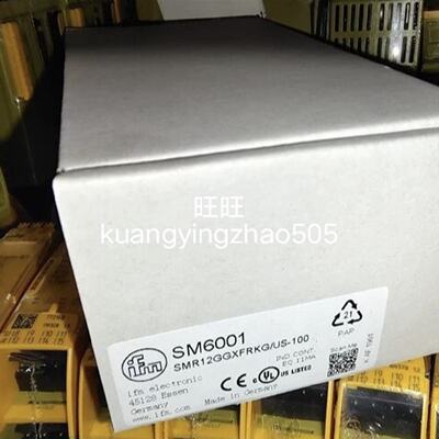 议价SM6001 SMR12GGXFRKG/US-100易福门电池流量计全新原装正品
