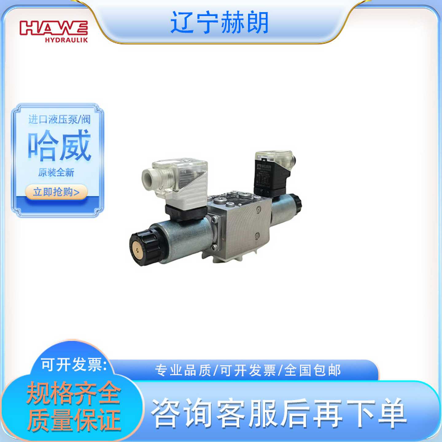 HAWE原装全新NZP16LZ55/105液压阀德国V哈威品牌柱塞泵齿轮泵