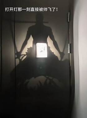 索隆立体投影灯创意3D打印夜灯可调光氛围壁灯海贼王动漫电影周边