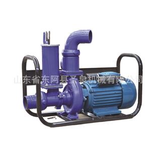 圣泉农用灌溉水泵大流量380V抽水泵家用高扬程抽水机水泵离心泵