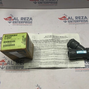 HAYWARD YS10050T 12 ZOLL PVC YSIEB GEWINDE SET MIT 2 STCK