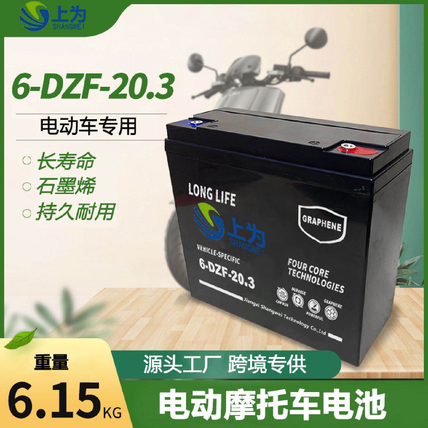 6-DZF-20.3电动车电池12V22Ah免维护蓄电池AGM铅酸电瓶太阳能UPS