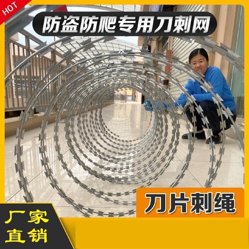 镀锌不锈钢直条刀片刺绳防盗防爬刺墙上围墙加高护栏带刺铁丝刺绳
