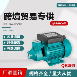 离心泵循环水泵高扬程大流量220v稳定出口外贸小型家用农用增压泵