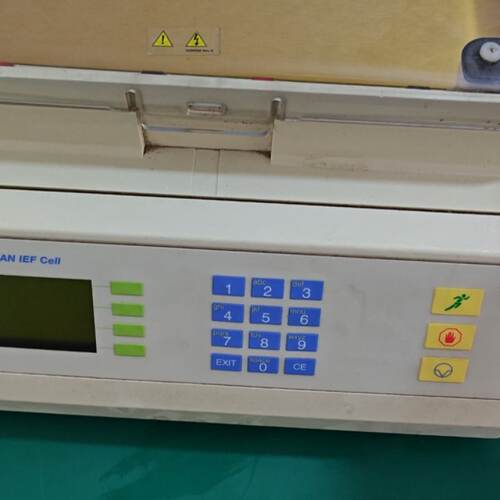 伯乐 protean IEF Cell 526BR 07-议价