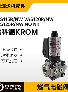 议价VAS 225R/LW VAS 232R/LQ VAS 250R/LK VAS 240F/NW /NQ电磁