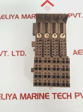 Mdulo Terminal Siemens 6ES7 1934CA200AA0 TME15S24A1